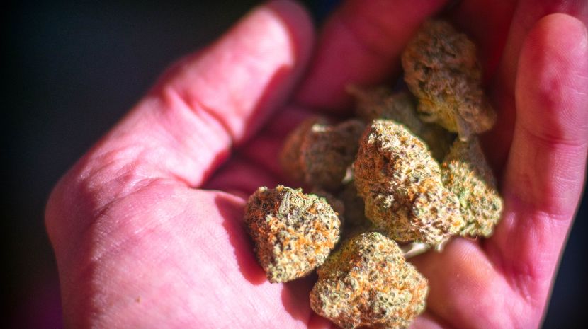 Mail Order Weed