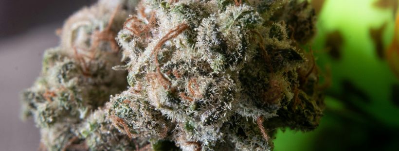 Mail order weed