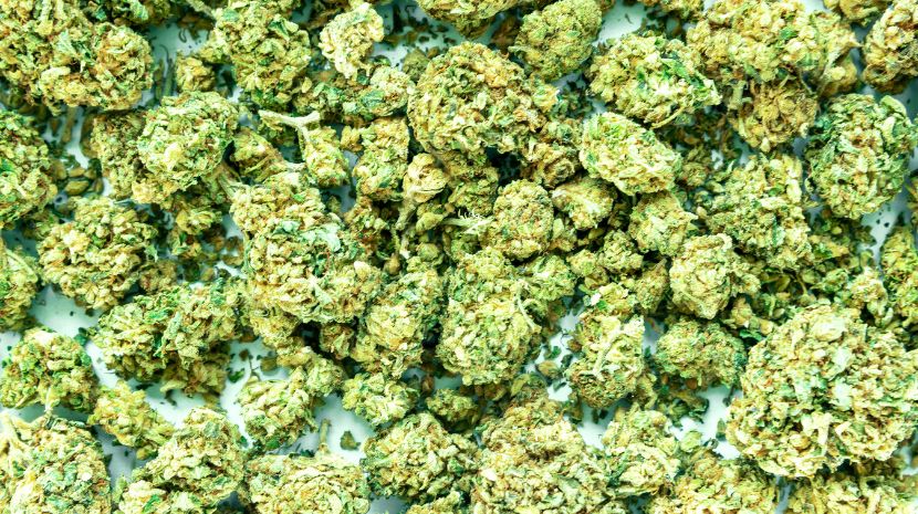Mail order weed 