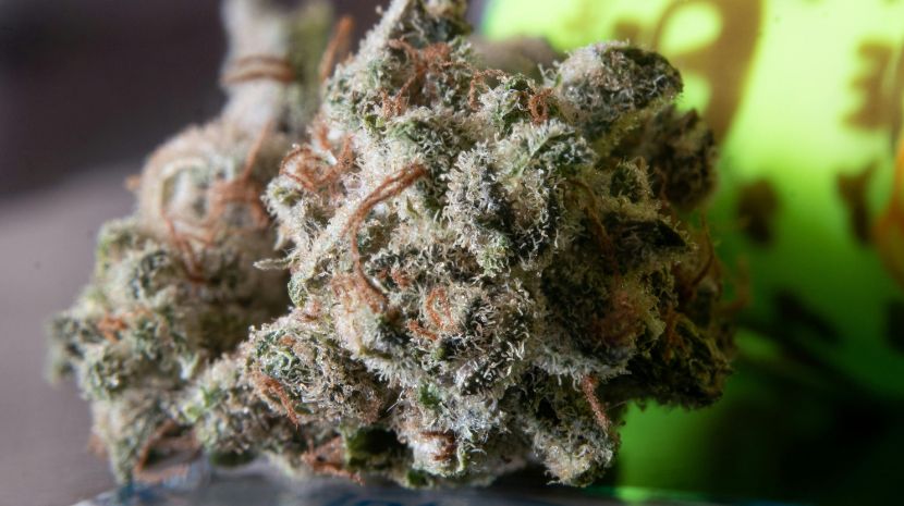 buy weed online