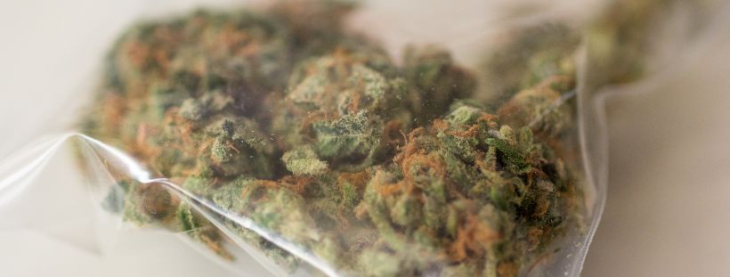 buy weed online