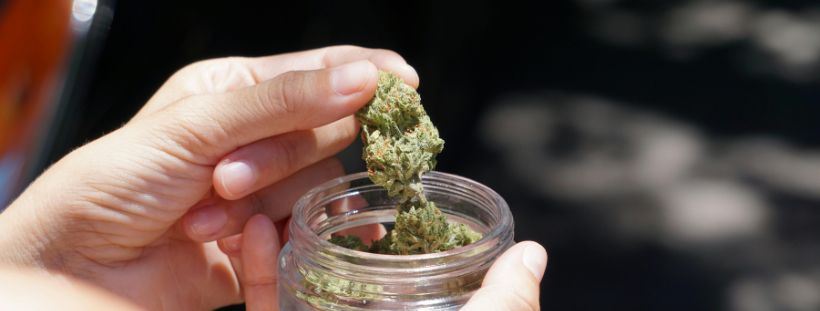 Mail order weed